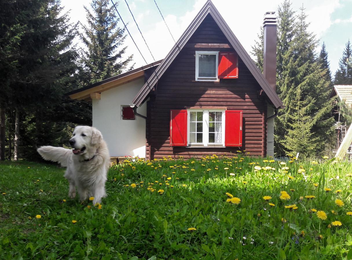 Snowhite Jahorina 빌라 외부 사진
