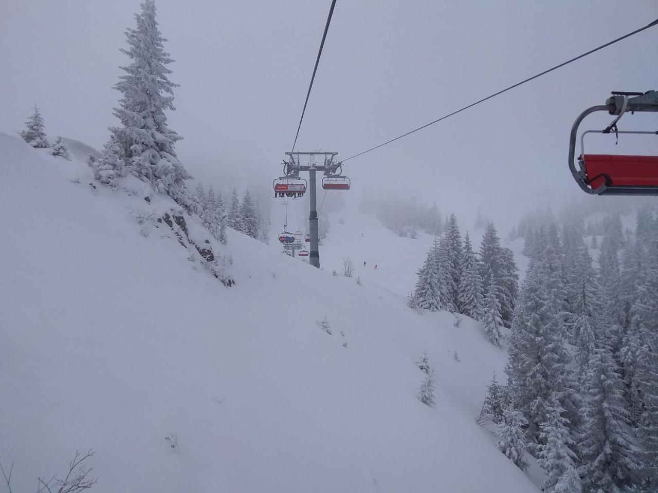 Snowhite Jahorina 빌라 외부 사진